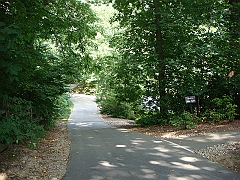 072 Longwood Gardens [2008 August 23]